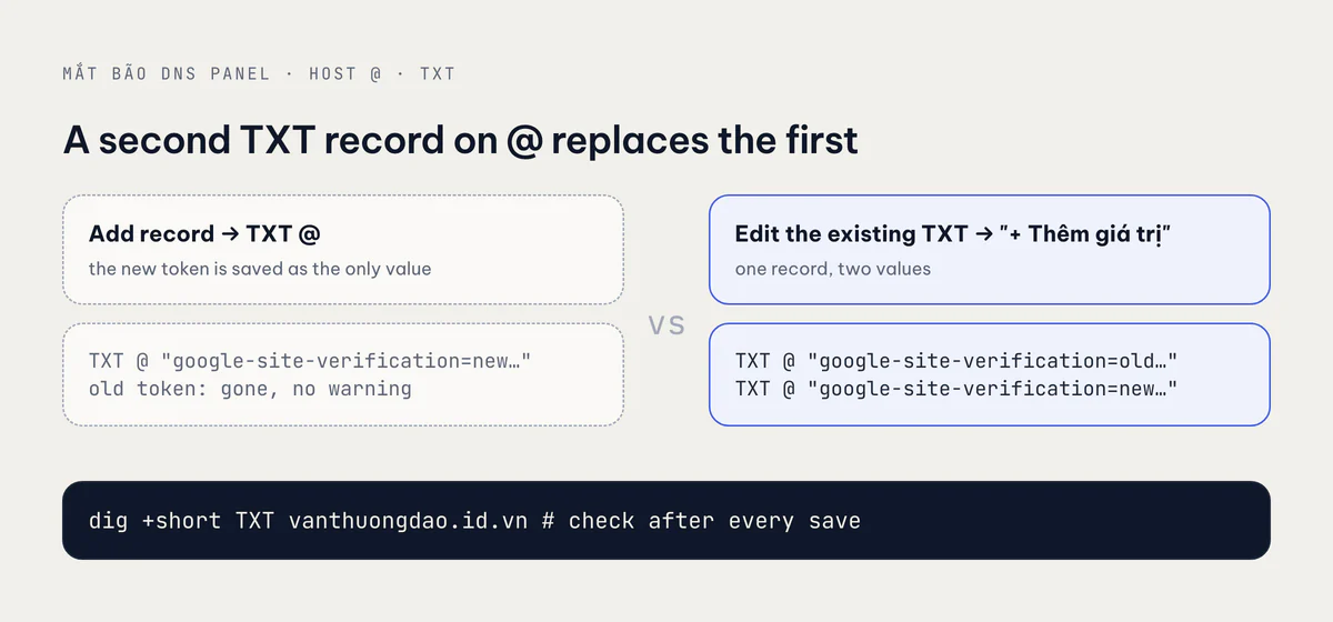 The TXT record trap in the Mắt Bão DNS panel